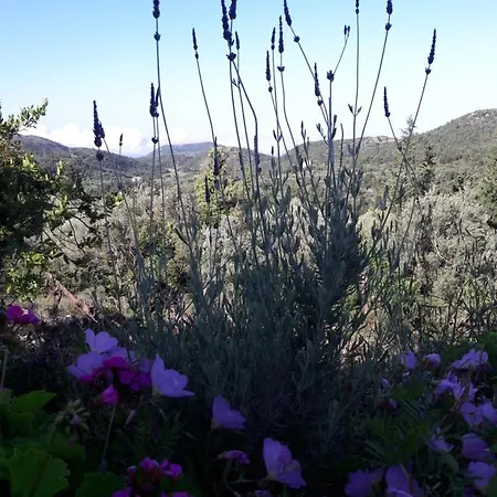 بيت للعطل Alexia's House