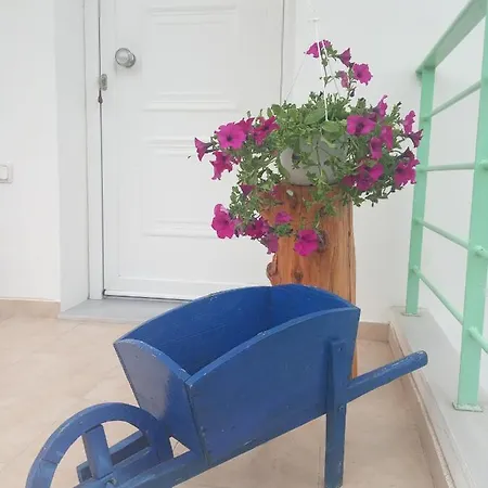 Alexia's House Nyaraló