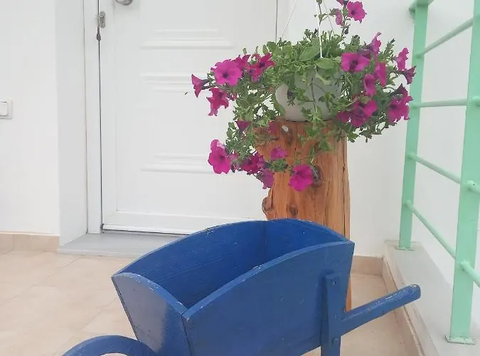 Alexia's House Tatil Evi